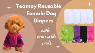 ⭐️ AMAZON FEMALE DOG DIAPERS ⭐️ - REVIEW DEMO & TIPS  