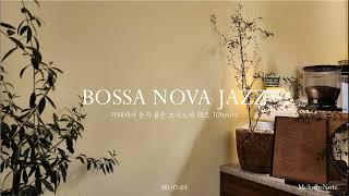  보사노바가 흐르는 재즈카페 Playlist  Bossa Nova Jazz Collection  카페 매장음악  중간광고 X