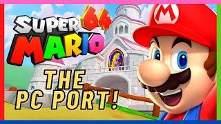 Super Mario 64 but its a WILD PC Port