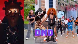 DNDREMA Tiktok dance challenge video best tiktok dance video ️‍