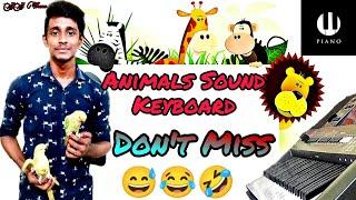 Animals Sound keyboard  Dont Miss   by Jebin Joe K.P  Jebin Theme Joe