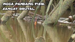 mancing  sampai geleng² kepala begitu brutalnya ikan menyambar umpan _sungai Genggong_