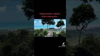 Shorts Video ll Tiktok @Seni_chandra ll Hidup Pilhan Hitam Atau Putih