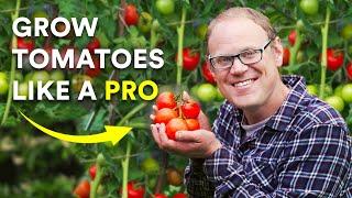 5 Secrets to Growing Amazing Tomatoes That Really Work