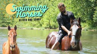 Training Horses In Water - FIRST RIDE For Our Rescued Clydesdale Horse