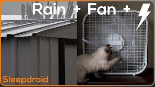 ►Fan Noise  Fan and Rain Sounds for Sleeping  Hard Rain on a Tin Roof  Metal Roof and Box Fan