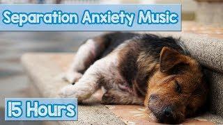 15 HOURS of Deep Separation Anxiety Music for Dog Relaxation Helped 4 Million Dogs Worldwide NEW
