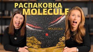 РАСПАКОВКА АДВЕНТ-КАЛЕНДАРЯ от MOLECULE  Стоит ли покупать?