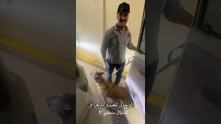 سائح سعودي يتلاطف مع حارس فندق بابل في بغداد