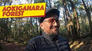 INDAHNYA HUTAN BUNUH DIRI - AOKIGAHARA FOREST JAPAN