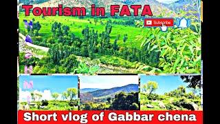 vlog 2   gabar chena bajaurtourism in fata new 2020 tour to bajaur  gabbar cheena