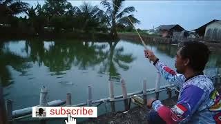 mancing udang galah