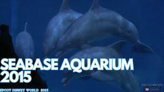 SEABASE AQUARIUM EPCOT DISNEY WORLD THEME PARK 2015