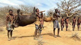 Hadzabe Tribe  Bush Pig Hunt And Cooking. hunters life