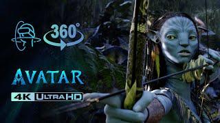 360°VR 3D 4K  Avatar Movie scenes in VR  Underwater Pandora Come across Navi Tree of Sound