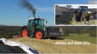 Rauchzeichen auf dem Silo - Fendt Favorit 816 - BGA Baumer - JCB 426E -Maisernte 2021 -Mais schieben