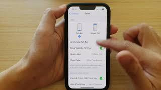 iPhone 1313 Pro How to HideShow IP Address From Trackers In Safari Browser