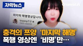 자막뉴스 충격의 쯔양 마지막 해명 폭행 영상엔 비명만…  채널A