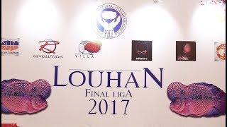 Kontes Ikan Louhan Terbesar  The Biggest Louhan Contest Nusatic 2017