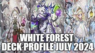 WHITE FOREST DECK PROFILE JULY 2024 YUGIOH