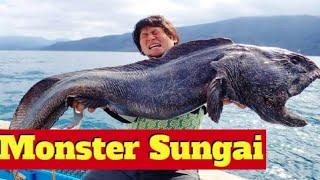 Ikan Monster Sungai Air Tawar Ganas Menakutkan