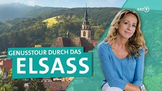 Das Elsass in Frankreich – Zwischen Colmar und Straßburg  ARD Reisen