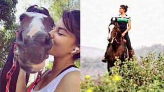 Bollywood Actress Jacqueline Fernandez Ride a Marwari Horse Stallion Raj Rajeshwar