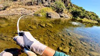 Pescando y Explorando Río LLENO de Lobinas