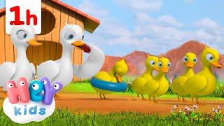 A hundred geese in a row  Animal Songs for Kids  HeyKids Nursery Rhymes