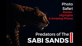 A Photo Safari to the Sabi Sands with a focus on Predators