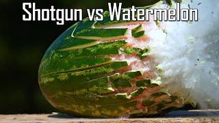 Shotguns vs Watermelons - Ballistic High-Speed