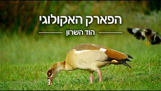 הפארק האקולוגי הוד השרון