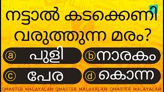 ഈ മരം നട്ടാൽ കടക്കെണി വരും......... l Malayalam Quiz l MCQ l GK l Qmaster Malayalam