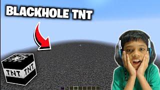 BLACK HOLE TNT destroyed my minecraft world