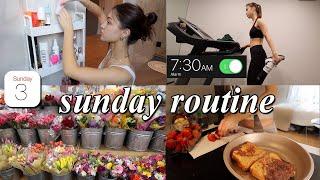 PRODUCTIVE SUNDAY RESET VLOG  organizing grocery shopping & deep cleaning