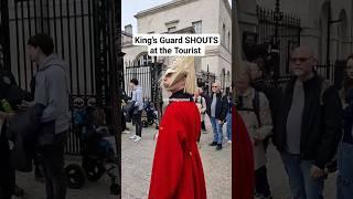 Kings Guard SHOUTS at the Tourist  #thekingsguard #horses #London #kingsguard ##omg