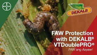 FAW Protection with DEKALB® VTDoublePRO®