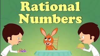 Rational Numbers Reupload