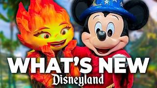 Top 10 New Disney Rides Updates & Changes Disneyland 2024