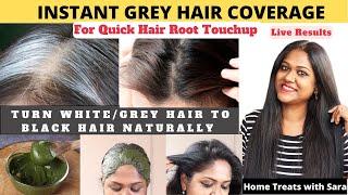 Instant Natural Hair dye  Grey to Black hair in few hours  Hair Root Touchup  No Harmful Chemical