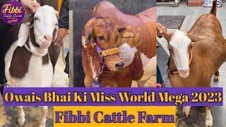 Owais Bhai Qurbani 2023  Miss World Megaa 2023  Fibbi Cattle Farm  Surprise Unloading 2023