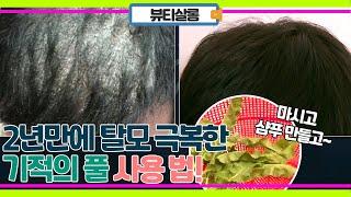 탈모와 두피 염증 모두 2년 만에 완치 해주는 기적의 풀의 정체는?