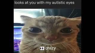 Cat memes 𝘶𝘸𝘶 3