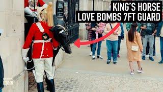 HORSE REALLY HAPPY TO SEE 7FT GUARD  Horse Guards Royal guard Kings Guard Horse London