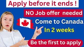 URGENT Easiest Pathway to Canada 2024 - Get Free work Permit- New Brunswick Critical Worker Program