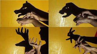 hand shadow puppet art