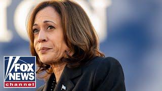 Case for Kamala Harris document reportedly circulating