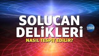 Solucan Delikleri Nasıl Tespit Edilebilir?  Popular Science Türkiye