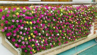 Creative Balcony Garden Turn Your Balcony Into A Beautiful Garden With Plastic Bottles