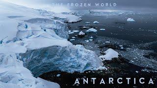 ANTARCTICA - The Frozen World  Cinematic Video Trailer